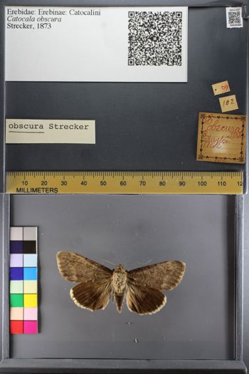 Media type: image;   Entomology 639489
